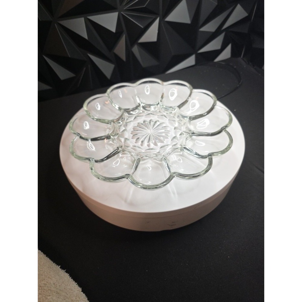 Anchor Hocking "Presence" Deviled Egg Platter Tray Server Plate 10" Holds 12 Egg